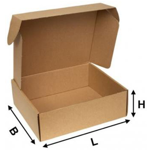 Practiced agency Permanent Kartons nach Maß online bestellen » Kartonfritze