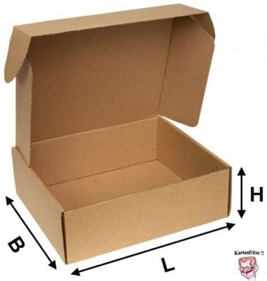 100 Maxibriefkartons – 160 X 110 X 50 Mm, 1-wellig, Braun, Für Bücher & Versand