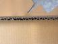 Preview: 9427-dinovier-310x310x75mm-querschnitt-material-eb-doppelwelle
