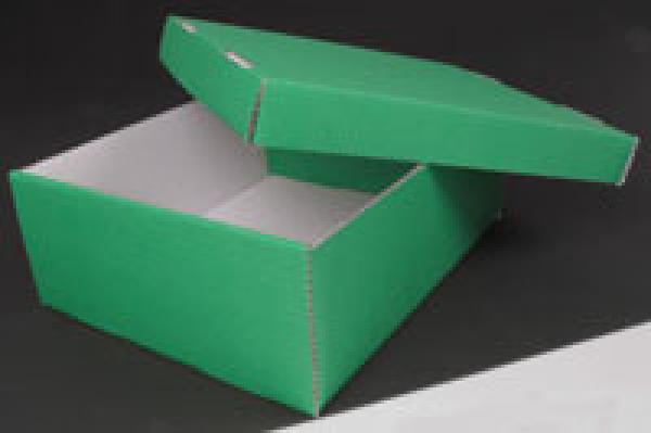 Schuhkarton Prinz grün/weiß 270x230x100/35 mm