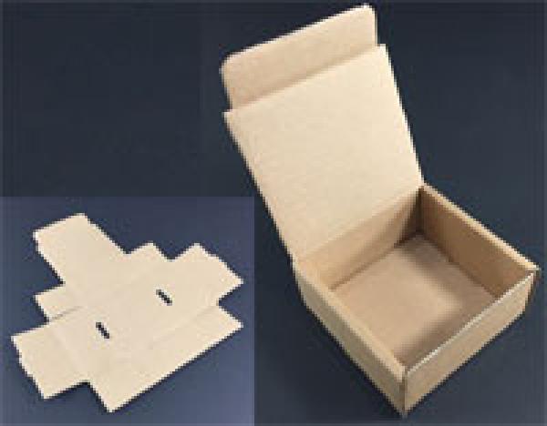 Schachtel 3 -  100x100x50 mm